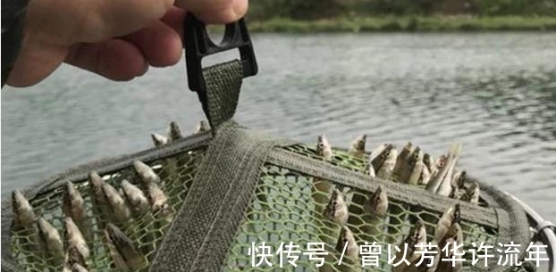 小伙外出钓鱼,当收起渔网,小伙被这些鱼弄蒙了