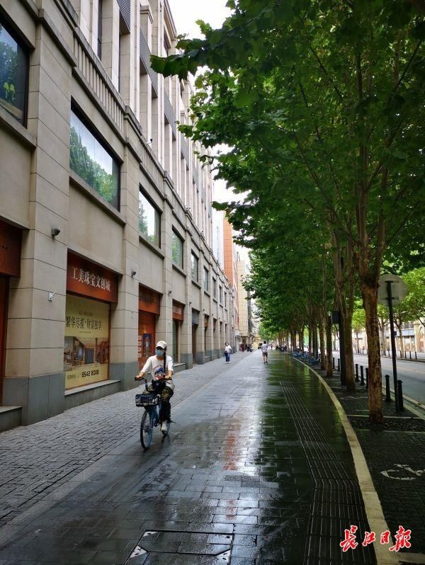 彭敏|“最美林荫路”每一抹绿荫，都是园丁心血铸就