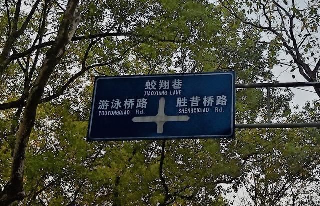 融化|温州又一公园走红，面积10.5公顷就在市区，景美人少还免门票