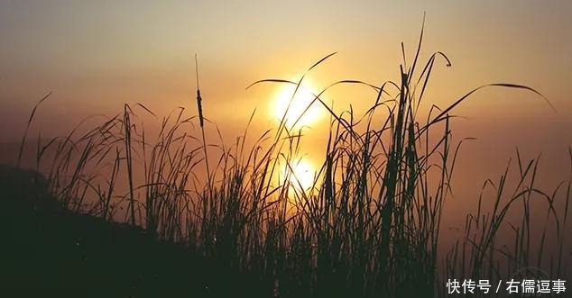 人,越孤独,越优秀