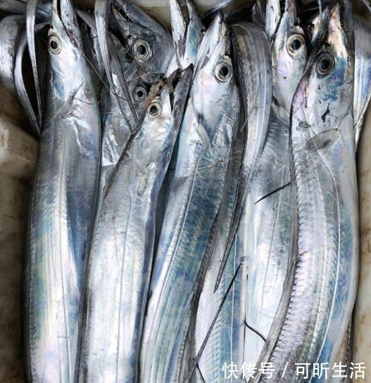 优质蛋白|买鱼时，认准这4种，目前无法人工养殖，都是野生海鱼，放心吃！