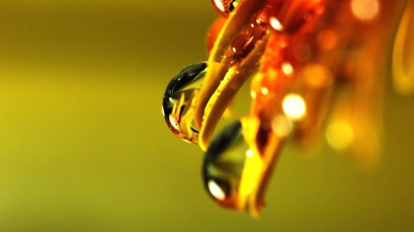 星座|恋爱中比较被动的星座