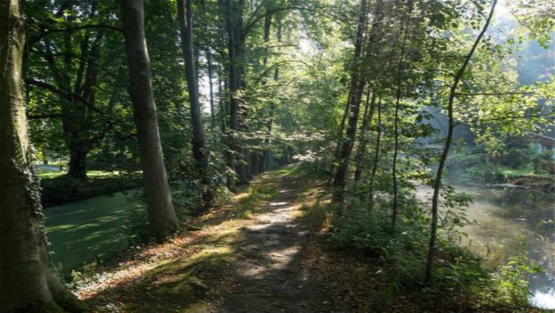 思念@柳宗元另一首孤独的诗,同样写得很凄美,可以比肩那首《江雪》!