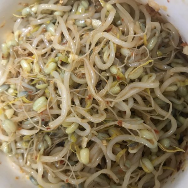 豆芽粉|绿豆芽成长记