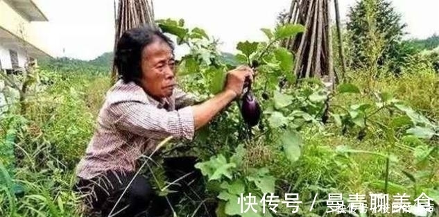 建造|余二妹：5年花了6000万，建造出一座瓷宫，自己却住在茅棚里