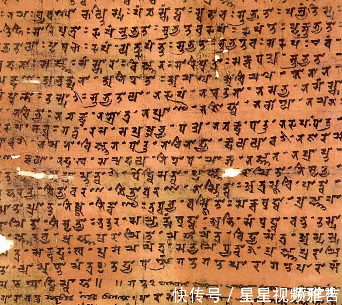 最强大脑|中国两大天才高中是同桌、毕业后各奔东西，事业巅峰在哈佛遇见