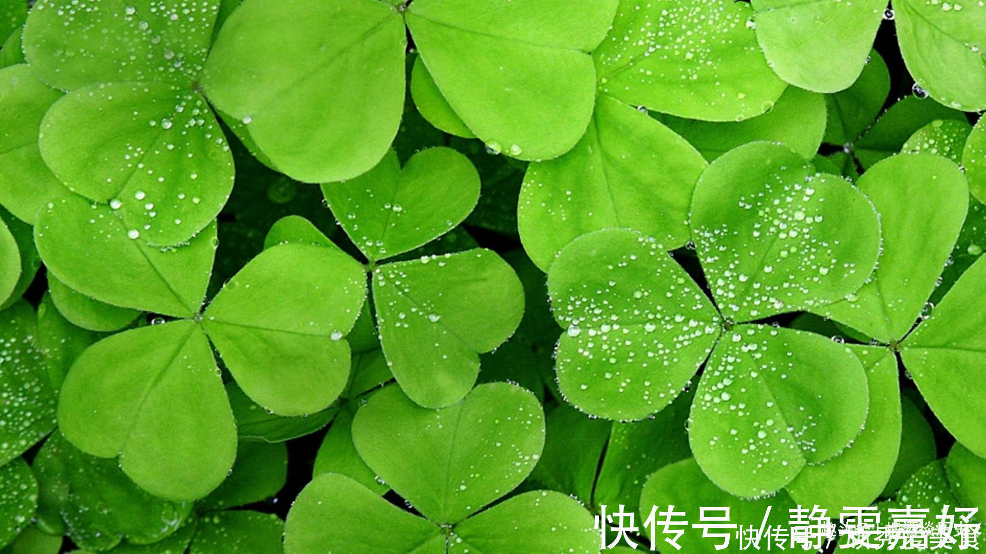 老实人&人有再大的本事,这四句话也别随意说,避免祸从口出