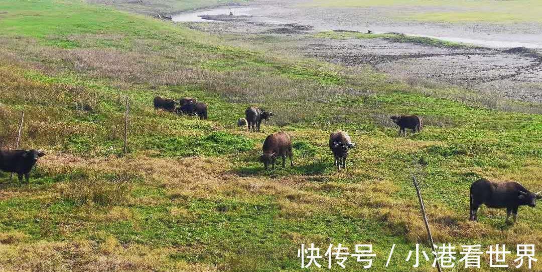 父母|子女不用再争房子,2021年开始,父母的房子全部按新规来继承