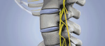 胸椎|有多少人年纪轻轻就“脊”病缠身？