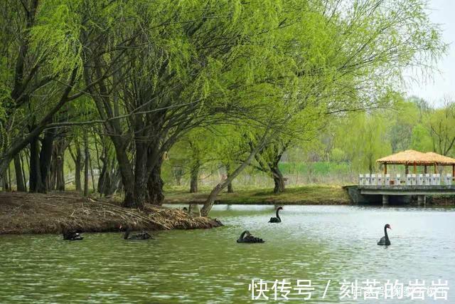 鼓浪屿|江苏扬州一处绝美岛屿景区，风景秀丽媲美鼓浪屿，堪称扬州桃花源