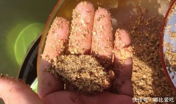 冬季钓鲫鱼，枯草之中有“大货”，用这种钓法，大鲫鱼连竿上！