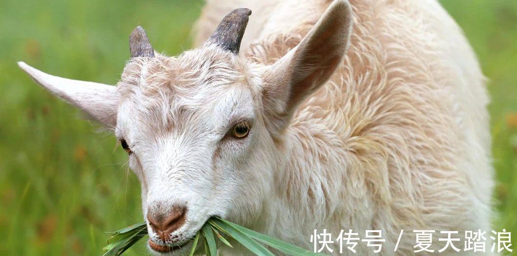 大吉|8天后，偏财大旺，运势大吉，红红火火，万事顺遂的3个生肖