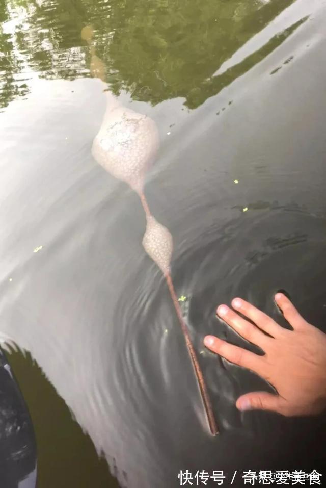 网络&网络有多“恐怖”?不管你问什么,“万能”的网友都知道