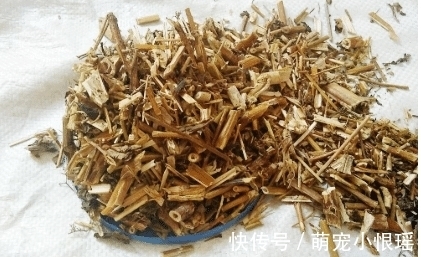 这种苦菜，闻起来像臭脚味，吃起来美味，常用来煮肉，别不识货
