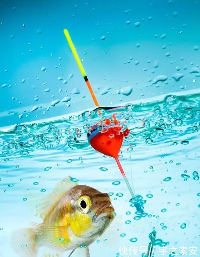 钓了八年鱼，调了八年漂，今天才明白调几钓几其实并不重要