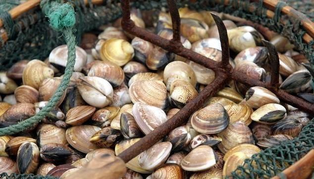 唐本草|一味不被人熟知的良药,“除一身之湿消水肿,软内外硬结散瘿瘤”