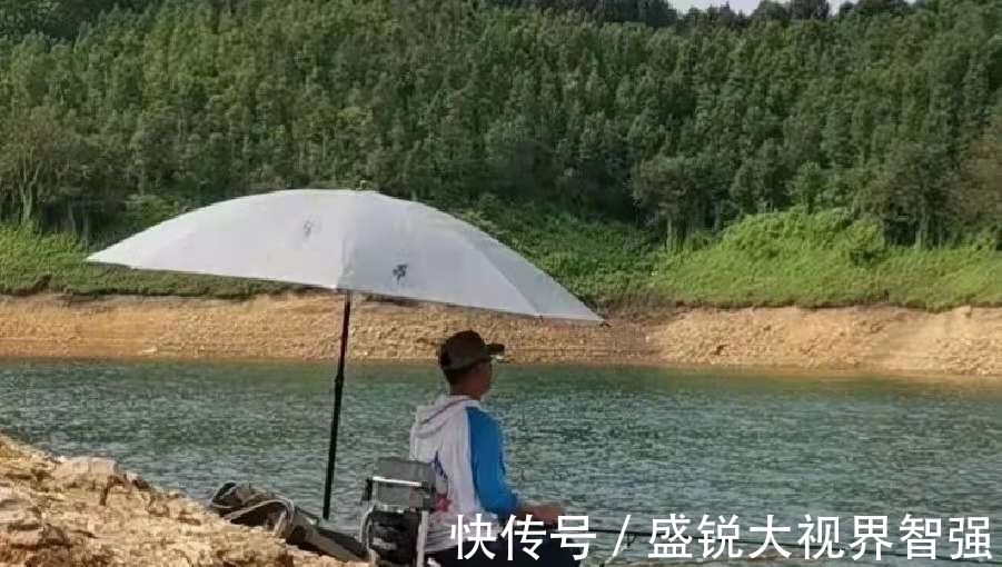 浮漂|钓点鱼星一大片,谁料无鱼吃饵,二十年老司机道破实情,服了