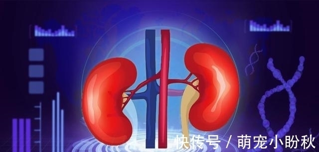 糖尿病患者|糖尿病不能喝豆浆？医生提醒：若想胰岛正常，3种食物不妨忌口