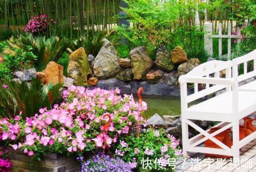 小花园|她家院子里开满了花,像一个小花园,好想去赏花,真美!