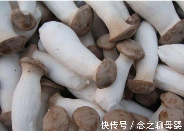 你家还在买杏鲍菇吗我也是今天刚知道,看完赶快告诉身边人