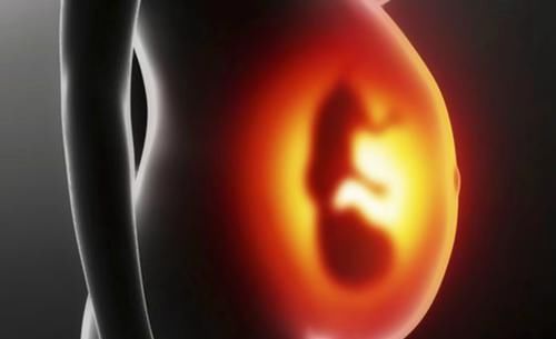 孕肚|孕妈什么时候“显怀”才正常?过早显怀,可能和这些原因有关系