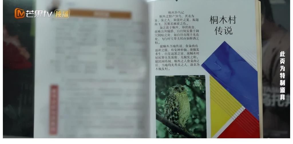 《名侦探学院》：火花四溅的心理战，学长的套路最深