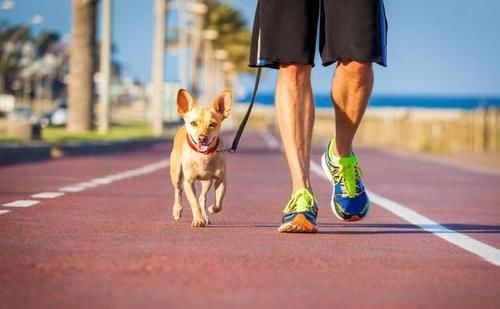 高血糖|高血糖,能不能吃花生?提醒:除了花生,这3种蔬菜也尽量少吃
