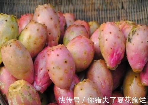 食物|秋天来了,可以坚持吃3种食物,营养丰富,身体棒棒哒!