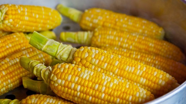 卷心菜|百岁老人长寿秘诀想要健康长寿，多吃以下3种常见食物