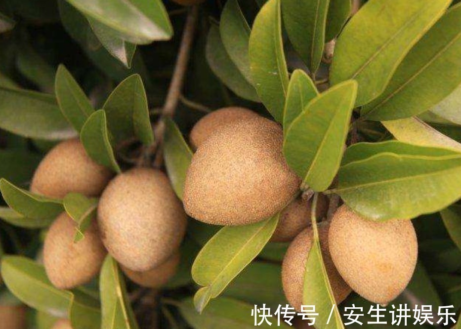 心功能|女性不想满脸皱纹,晚上当零食吃几颗,淡化色斑,越来越年轻