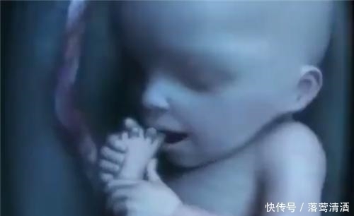捂脸|胎儿每天在妈妈肚子里干些啥看完这5张图,心都暖化了