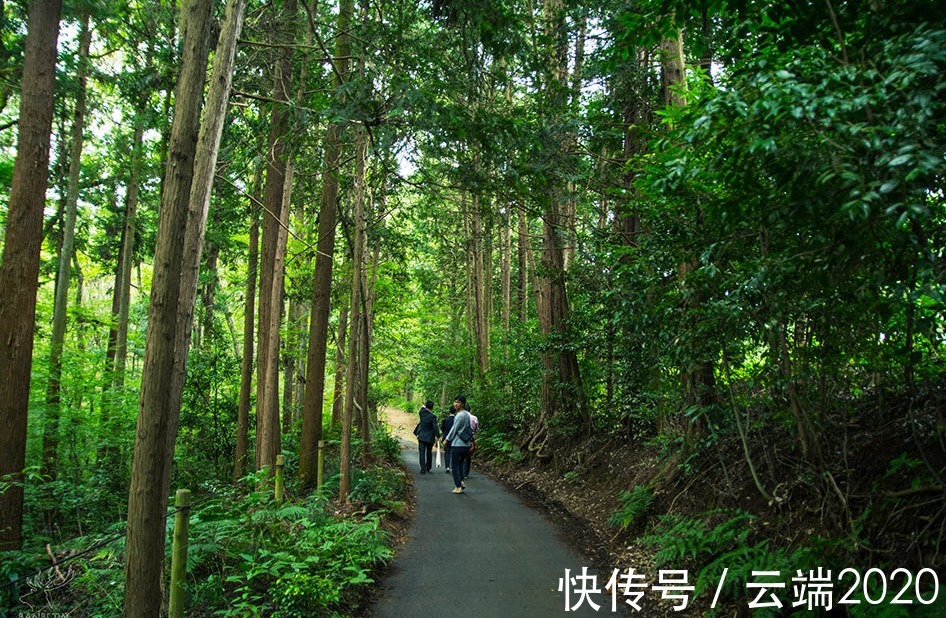 吉卜力|名美美术教育:请问有无吉卜力动画迷?点进来看看!