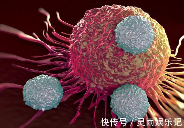 癌细胞|癌细胞喜欢吃糖,断食可以饿死癌细胞?最新研究结果告诉你答案