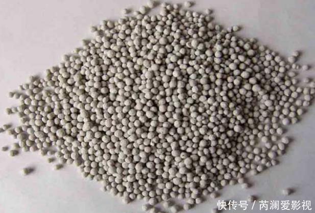 养花就用这些东西“密制”花肥,不花一分钱,还好用不烧根