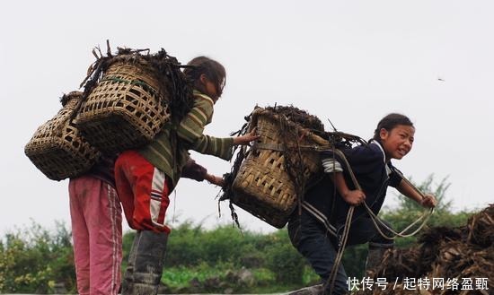 上了专科的同学都赚大钱了？别做梦了