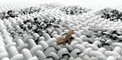 成分|专家揭露买洗衣粉时,认准这几个成分,不管什么牌子,都是噱头