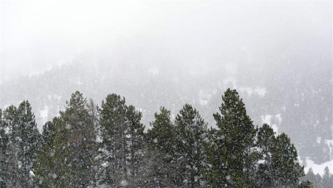 杨万里流传很广的两首咏雪名篇，不仅写出了新意，同时还美得惊艳