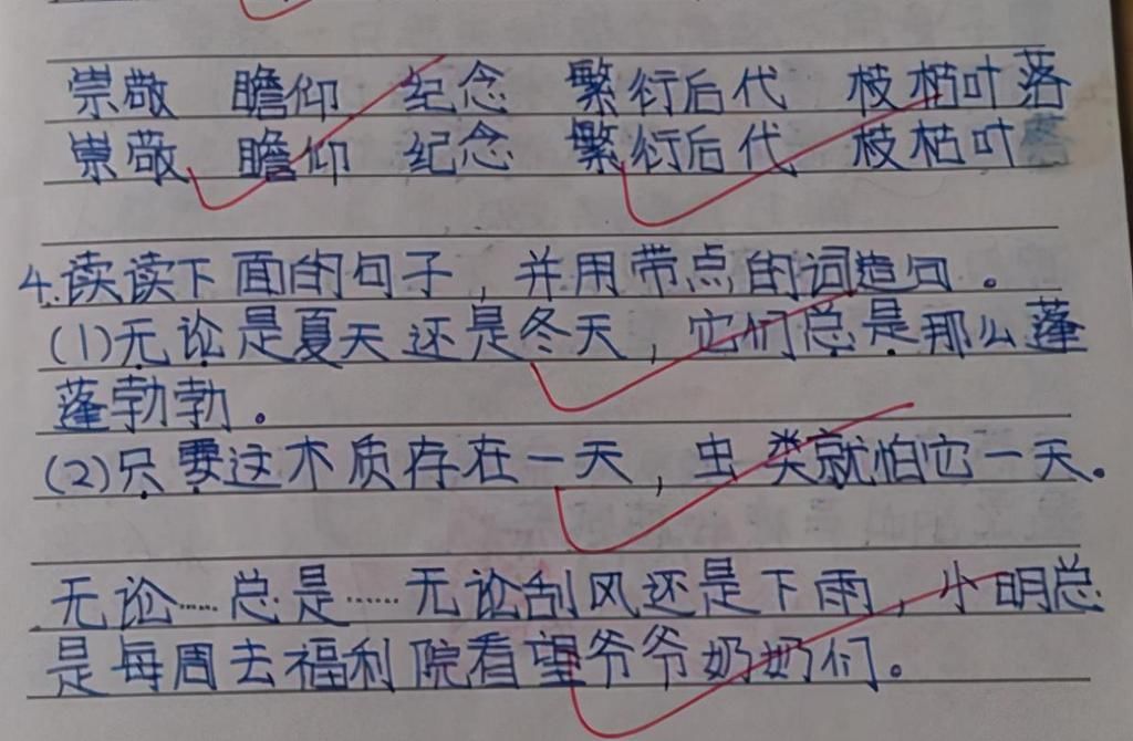 小学生印刷字体走红网络，老师震惊不已，家长自叹不如