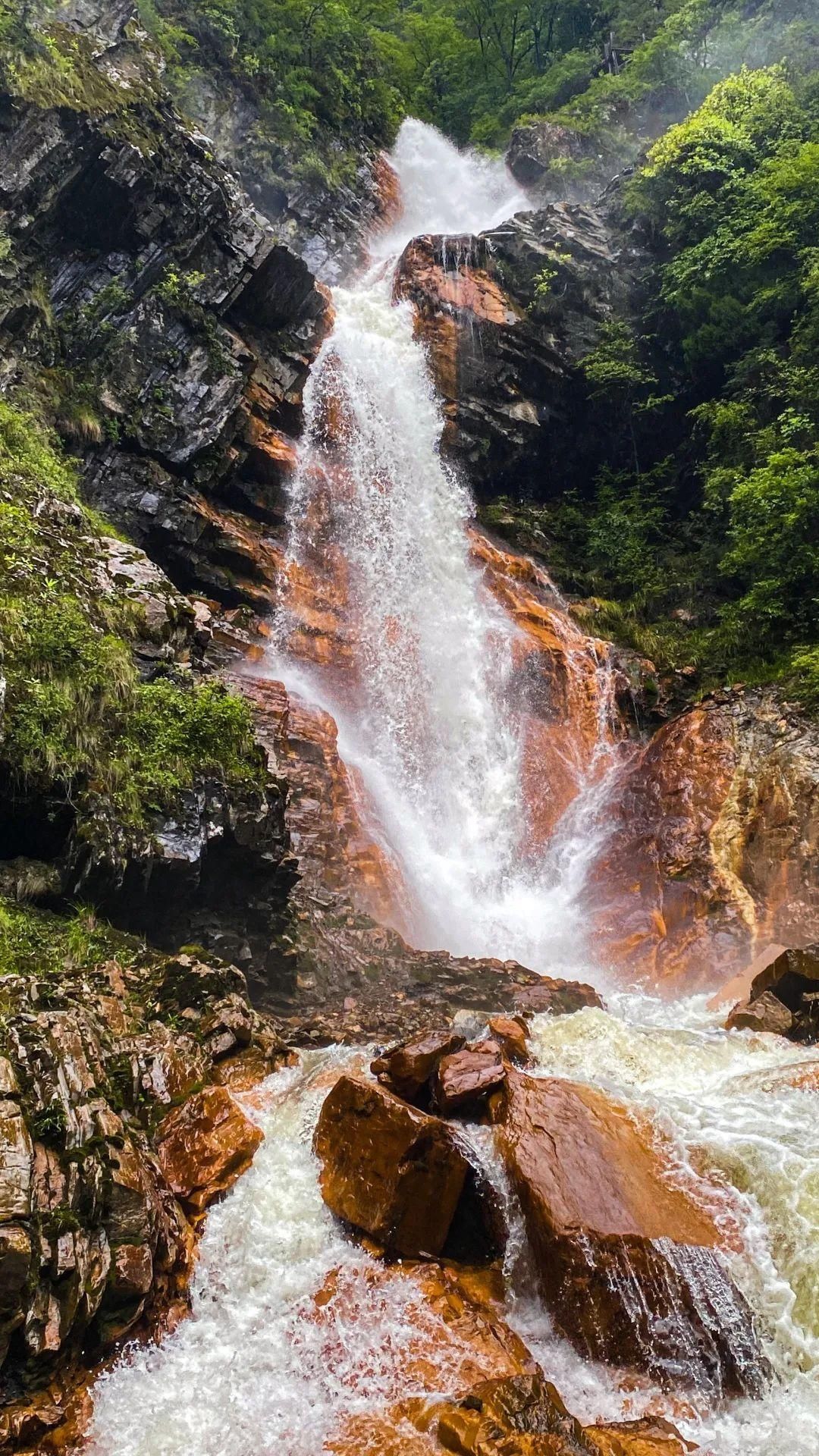 双桥沟|四姑娘山，给你一整个夏天的温柔