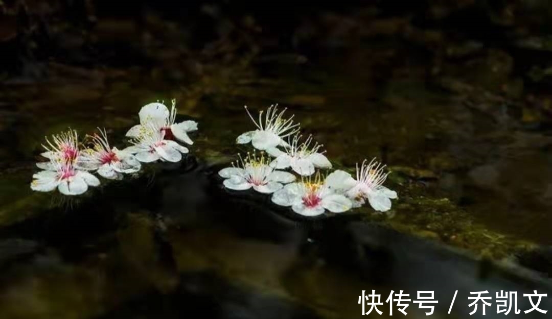 江雪#为什么人人喜欢柳宗元的诗?这首诗就是见证,真不是一般的独特