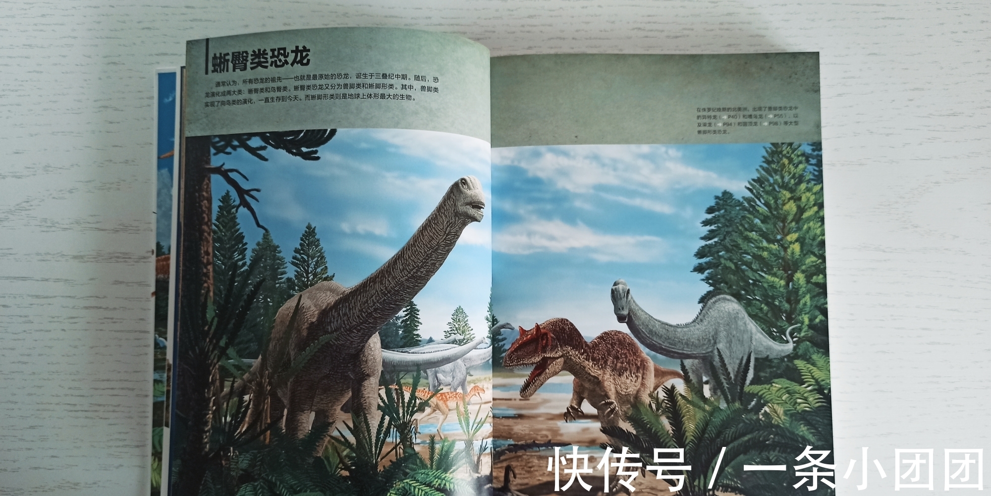 哆啦a梦#一本关于恐龙的百科书,让孩子爱上恐龙的世界