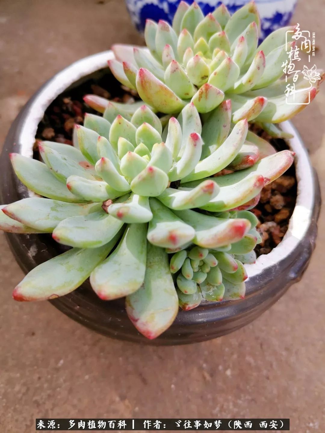 愿你付出甘之如饴，愿你所得归于欢喜！