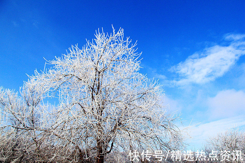 霜雪|中俄边境小城额尔古纳市迎来今年首场雾凇景观