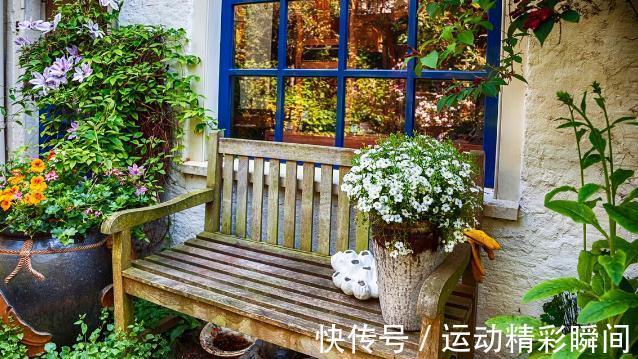 花盆里的小飞虫到处乱飞怎么办?教你几个小方法,实用