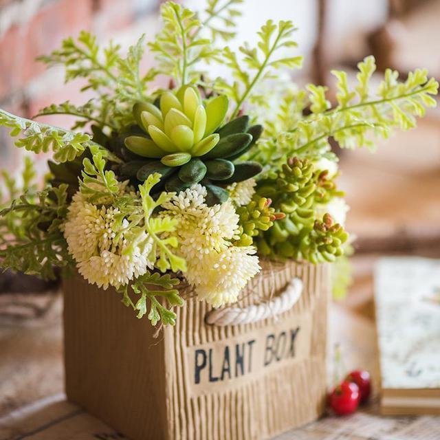 多肉夏天“整了容”，肉嘟嘟的叶片全萎蔫，教你几招，真好用