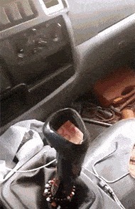 |搞笑GIF趣图:你刚下来的时候经历了什么,怎么这么顽皮呢!