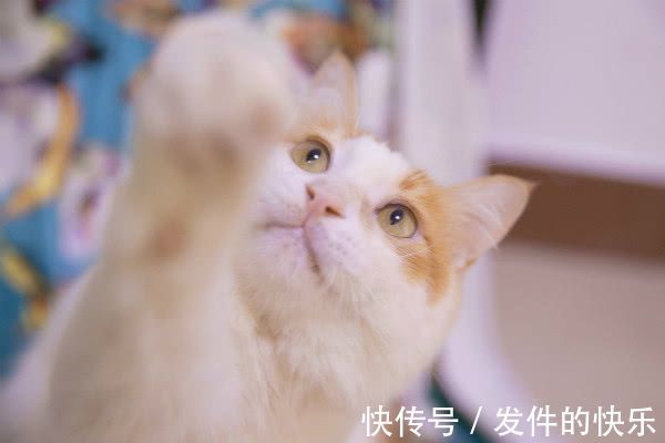 |幽默笑话:今天,我遇到了前女友,她说的话,让我胜读十年书!