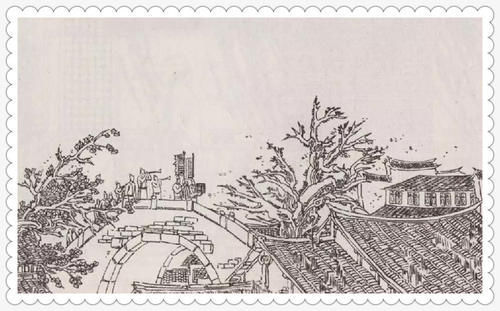 新聊斋|屠户守财至死,不把藏银告诉儿子,儿子买小猪找回银子