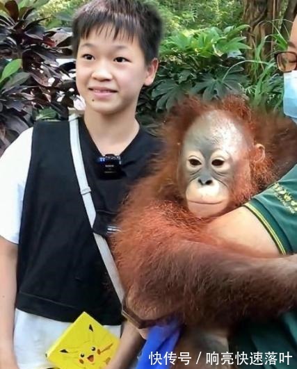 何威仪|全红婵拍《全游记》,何教练对红姐重点保护,却被婵宝的气场折服