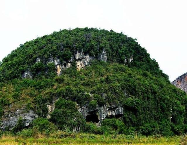 乐山大佛|中国最“奇趣”佛像，长在大山里只露出一个头，被当地误认是山神